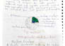 write anatomy, physiology and physiotheraphy notes